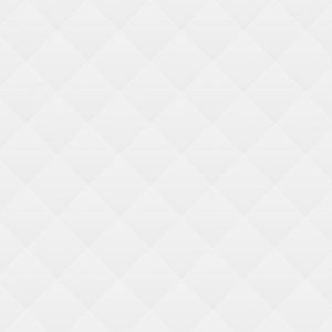 Fast Delivery Fast Delivery