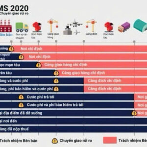 Incoterms 2020: Hiểu đúng để giảm rủi ro trong logistics & xuất nhập khẩu