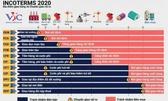 Incoterms 2020: Hiểu đúng để giảm rủi ro trong logistics & xuất nhập khẩu