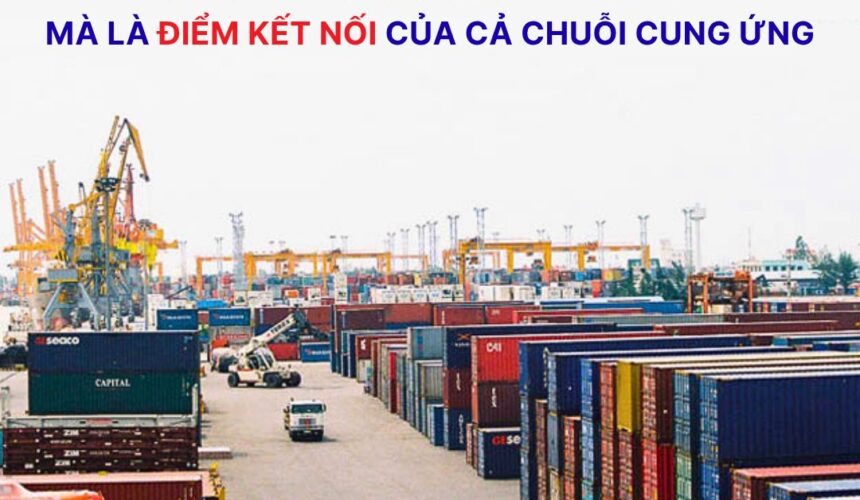 CY là gì? Tìm hiểu về Container Yard (Bãi Container) trong logistics và vận tải biển