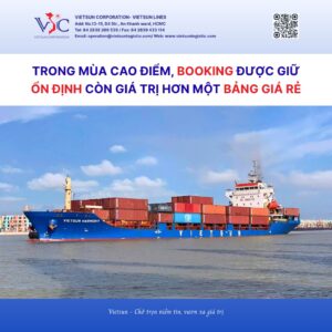 Vận tải biển mùa cao điểm: “Săn sale” giá cước có thực sự giúp doanh nghiệp tiết kiệm? Vận tải biển mùa cao điểm: “Săn sale” giá cước có thực sự giúp doanh nghiệp tiết kiệm?