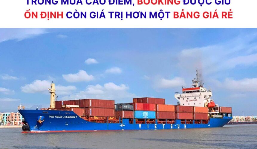 Vận tải biển mùa cao điểm: “Săn sale” giá cước có thực sự giúp doanh nghiệp tiết kiệm?