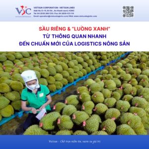 Sầu riêng và “luồng xanh”: Chuẩn mới của logistics nông sản Việt Nam