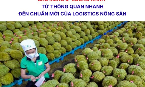 Sầu riêng và “luồng xanh”: Chuẩn mới của logistics nông sản Việt Nam