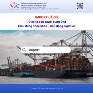 Import là gì? Định nghĩa và quy trình nhập khẩu hàng hóa Import là gì? Định nghĩa và quy trình nhập khẩu hàng hóa